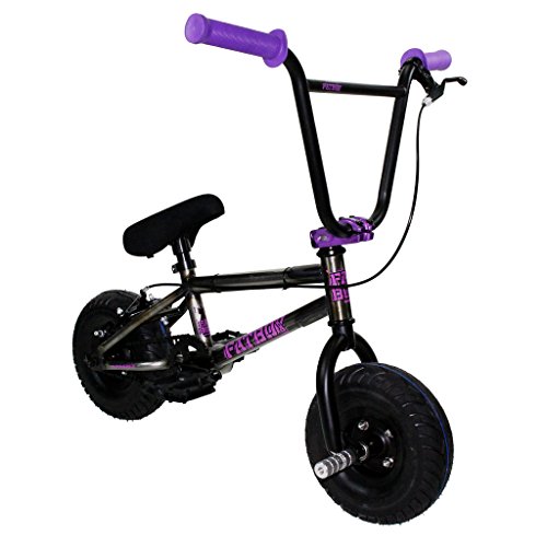 FatBoy Mini BMX FBAP-RW-10 Assault Bike, Pro Raw