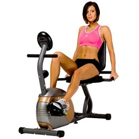 Marcy ME 709 Recumbent Exercise Bike