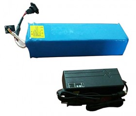 48v 15ah Lithium Polymer Battery for Electric Bicycle with Charger and BMS