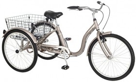 Meridian Adult Trike