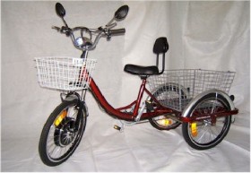 Cozytrike Adult Electric Tricycle