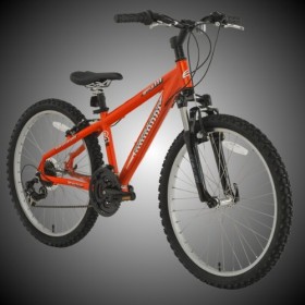 BikeHard Battle Twenty-Four 24″ Burnt Orange